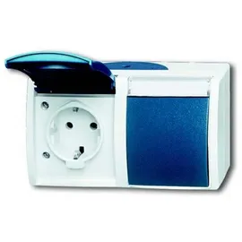 Busch-Jaeger Schuko-Steckdose 20/2 EWN-53 Ocean 2 St.