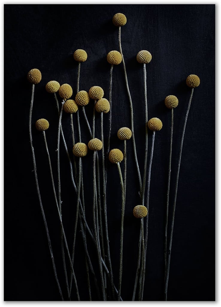 Paper Collective - Stillleben 01 (yellow drumstick), 50 x 70 cm