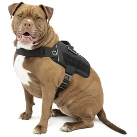 Kurgo RSG Townie Hundegeschirr Schwarz XL