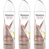 Rexona 3 x Rexona Maximum Protection Extra Strong Lime & Waterlily Scent Anti Transp...