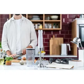 Zwilling Enfinigy Stabmixer