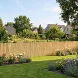 casa.pro Schilfzaun 100 x 500 cm Beige