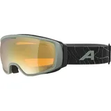 Alpina Double Jack Planet Q-Lite Skibrille (Größe One Size, oliv)