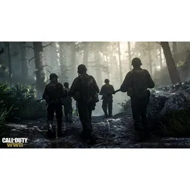 Call of Duty: WWII (PEGI) (PS4)