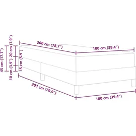 vidaXL Boxspringbett 100 x 200 cm Hellgrau
