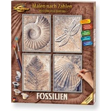 Schipper Arts & Crafts Malen nach Zahlen Fossilien (609340876)