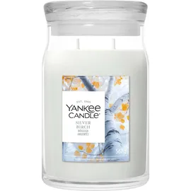 Yankee Candle Silver Birch Duftkerze 567 g silber/weiß