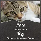 Jodimitty Grabstein Hund Katze Haustier personalisierte Farbe Foto & Name & Lebensspanne & Nachricht & Muster, Grabplatte Gedenkstein Tombstone mit Gravur für Drinnen Draußen, Quadrat, 15cm/20cm