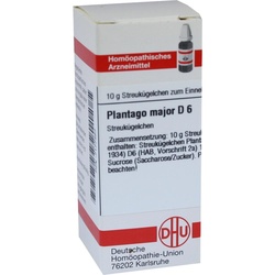Plantago Major D 6 10 G