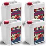 Bioethanol 96,6% 40L |Alkohol Walderdbeerduft 96,6% 4x10L | Bioethanol für Kamin, Tischkamin | Bioethanol Walderdbeerduft | Saubere Verbrennung, o...