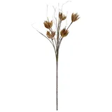 Europalms Artischocken Zweig (EVA), künstlich, beige, 100cm