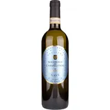 Vite Colte Masseria dei Carmelitani Gavi di Gavi DOCG 2024