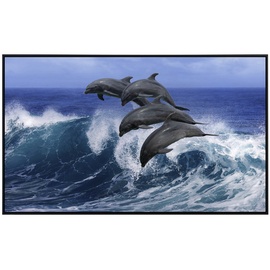 Papermoon Infrarotheizung Verspielte Delfine«, Matt-Effekt - bunt