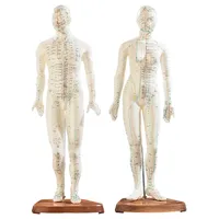 Newgen Medicals Akupunktur-Figuren 2er-Set (Mann/Frau)