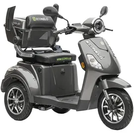 ECONELO Seniorenmobil P1000 25 km/h 1000 Watt Grau