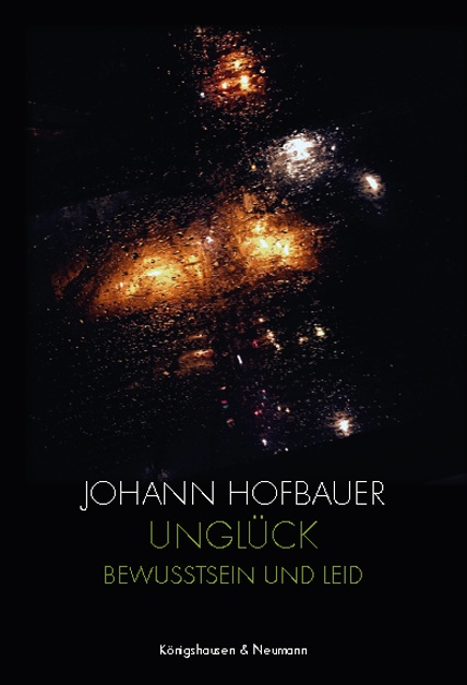 Unglück - Johann Hofbauer  Kartoniert (TB)