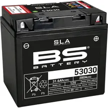 BS Battery 53030 31,6 Ah