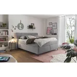 Set One by Musterring Boxspringbett »Fairfield« Metallfuß schwarz, Kopfteil mit Keder, Breite 160 oder 180 cm grau