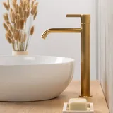 Fortis Bria Extra Large Waschtischarmatur Gold gebürstet