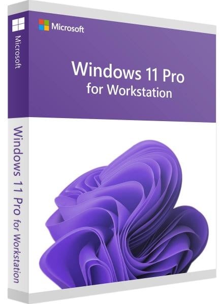 Microsoft Windows 11 Pro for Workstation