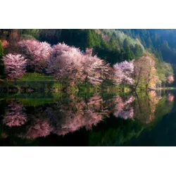 Fototapete PAPERMOON "Photo-Art TAKESHI MITAMURA, EINE ANDERE WELT", bunt, B:3,50m L:2,60m, Vlies, Tapeten