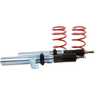 Eibach PSS65-20-013-01-22 Gewindefahrwerk Pro-Street-S