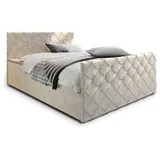 masseno Boxbett mit Bettkasten - beige , Maße cm B: 160 H: 98