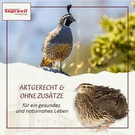 Supravit Wachtelfutter Körnermischung 25 kg