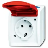 Busch-Jaeger Schuko-Steckdose 20 EW ocean grau/blaugrün 1 St.