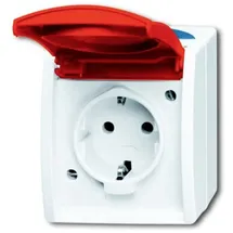 Busch-Jaeger Schuko-Steckdose 20 EW ocean grau/blaugrün 1 St.