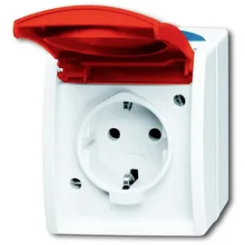Busch-Jaeger Schuko-Steckdose 20 EW ocean grau/blaugrün 1 St.