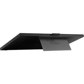 Asus ProArt PA169CDV 15,6" schwarz