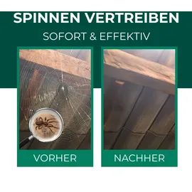 Silberkraft Spinnenspray Insektenvernichter 500 ml
