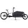 Cube Cargo Dual Hybrid 1000 2023 20 Zoll RH Onesize flashgrey 'n' black