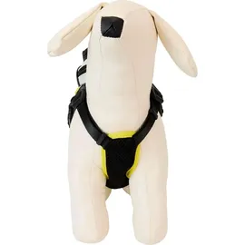 Loungefly DC Comics by Loungefly Hundegeschirr Mini Backpack Batman Small