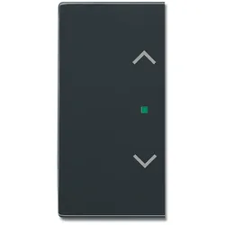 BUSCH JAEGER 2CKA006220A0053, Anthrazit, Busch-free@home