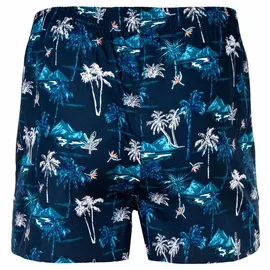 Happy Shorts Herren Web-Boxershorts - American Boxershorts