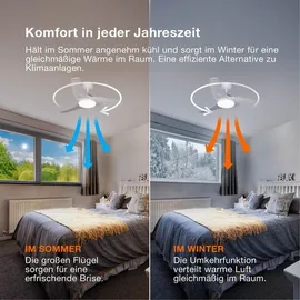 Osram FOHN 116,8 cm Deckenventilator Schwarz/Braun