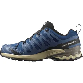 Salomon XA Pro 3D V9 GTX Herren Trailrunningschuhe, Shoes, Blue, 49 1⁄3 - 49 1⁄3