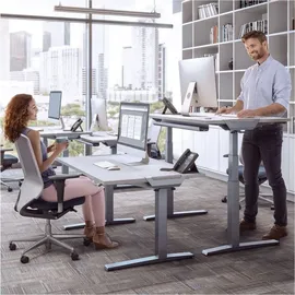 Fellowes Tischplatte Levado grau rechteckig 140,0 x 80,0 x 2,5 cm mit 10 Euro CashBack