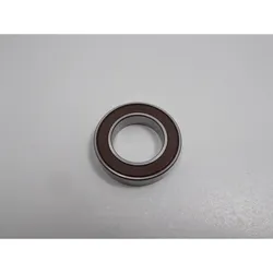 Stürmer Maschinen Kugellager 6905RS,DDU Rillenkugellager