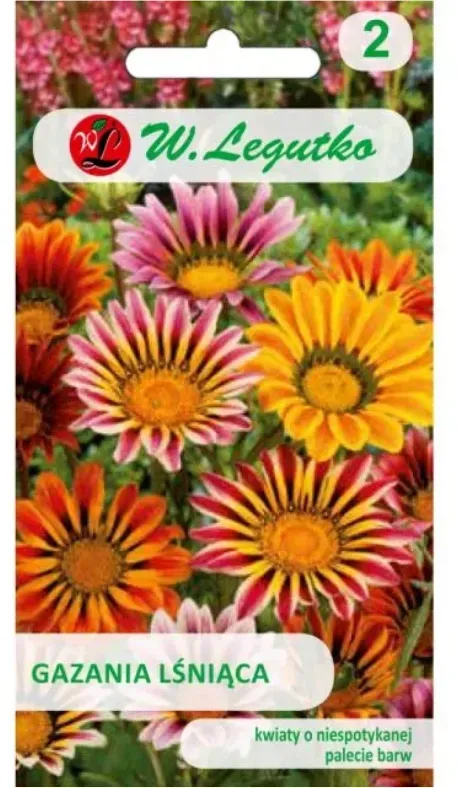 Gazania glänzende Mischung (abgeriebene Samen)