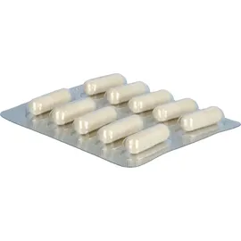 Köhler Pharma Unizink Immun Plus Kapseln 10 St.