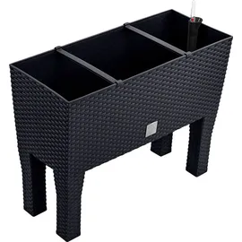Prosperplast Rato Case High 80 x 33 x 62 cm anthrazit
