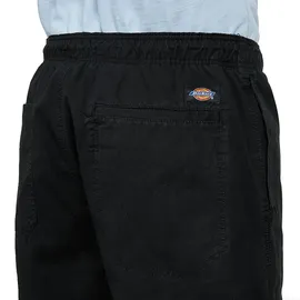 Dickies Pelican Rapids Shorts Herren BLACK S