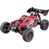 Reely RC-Buggy Major 4WD RTR rot (1:14)