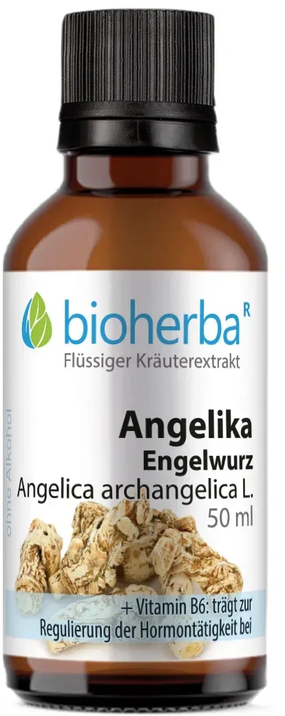 Angelika Engelwurz Tropfen, Tinktur 50ml