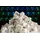 Glorious PC Gaming Race Kailh Speed Silver Switches (120 Stück)