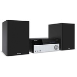 TechniSat DigitRadio 750 schwarz/silber