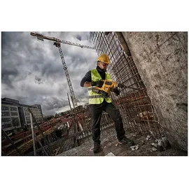 DeWalt DCH481X2